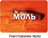 Уничтожение моли