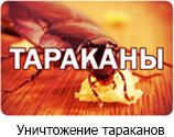 Уничтожение тараканов